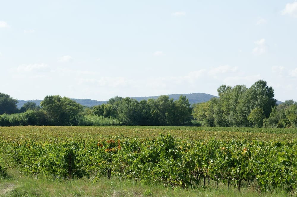 Photo of Others in Montfrin