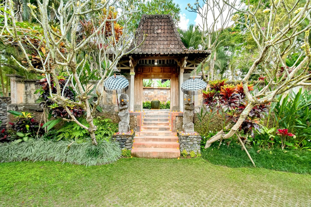 Photo of Outdoor in Payangan