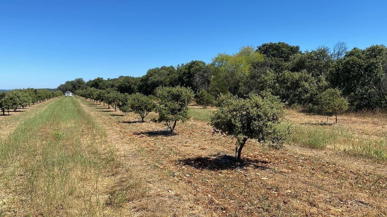 Photo of Outdoor in Seguret
