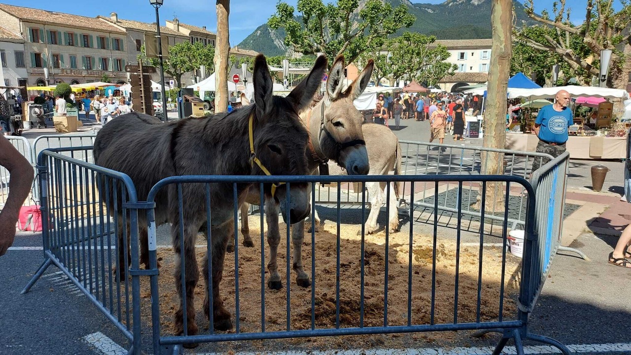 Photo of Outdoor in Castellane