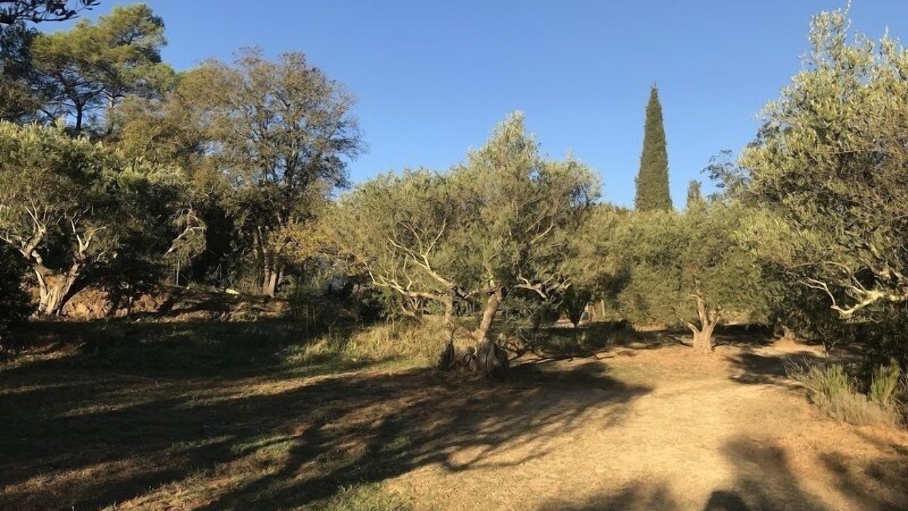 Photo of Outdoor in Le Thoronet
