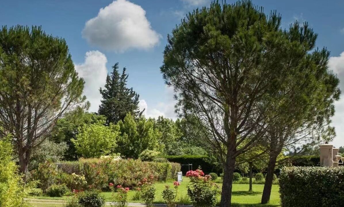 Photo of Outdoor in Monteux