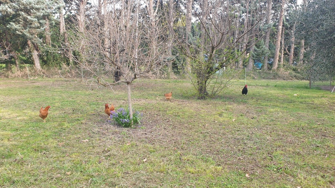 Photo of Outdoor in Monteux