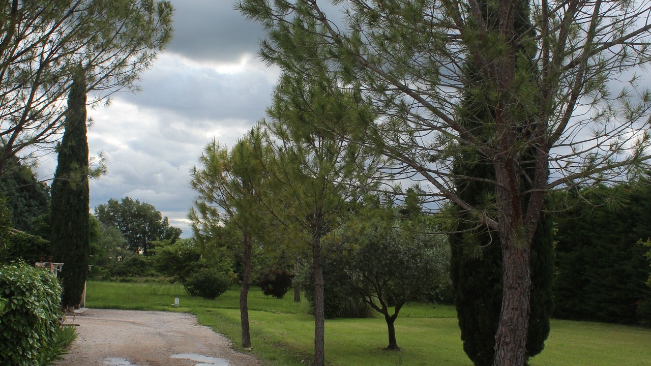 Photo of Outdoor in Monteux