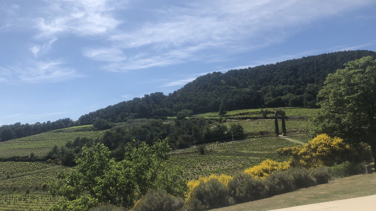 Photo of Others in Seguret