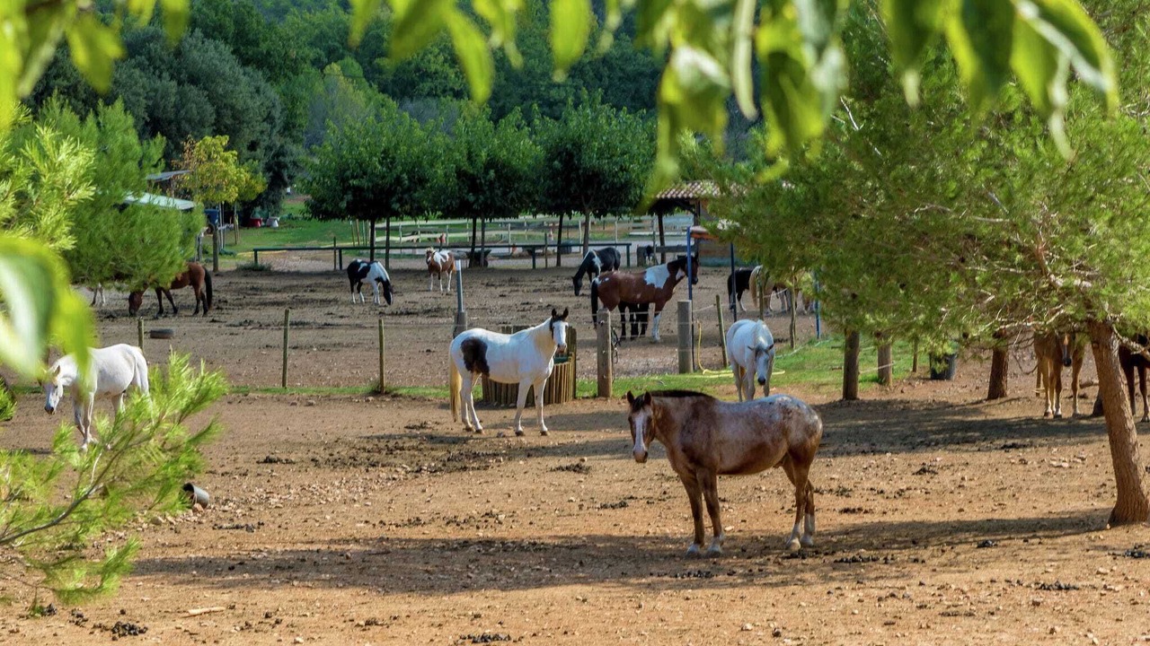 Photo of Others in Le Luc