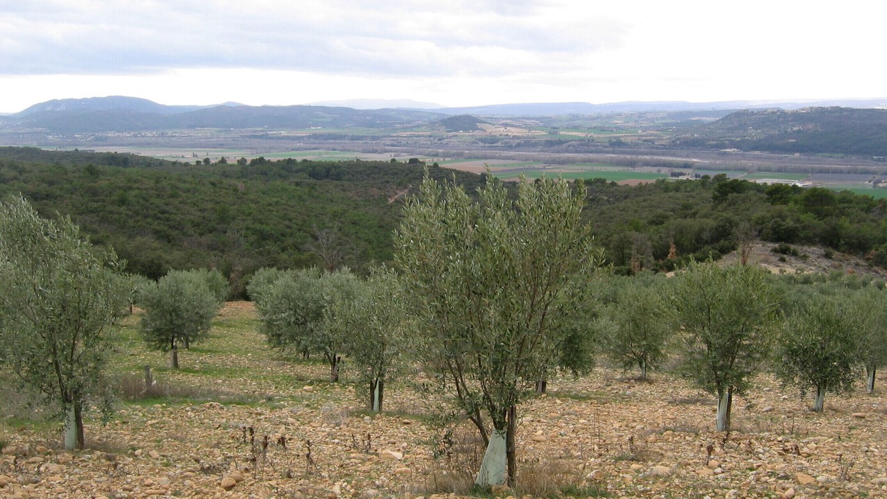 Photo of Outdoor in Les Mees