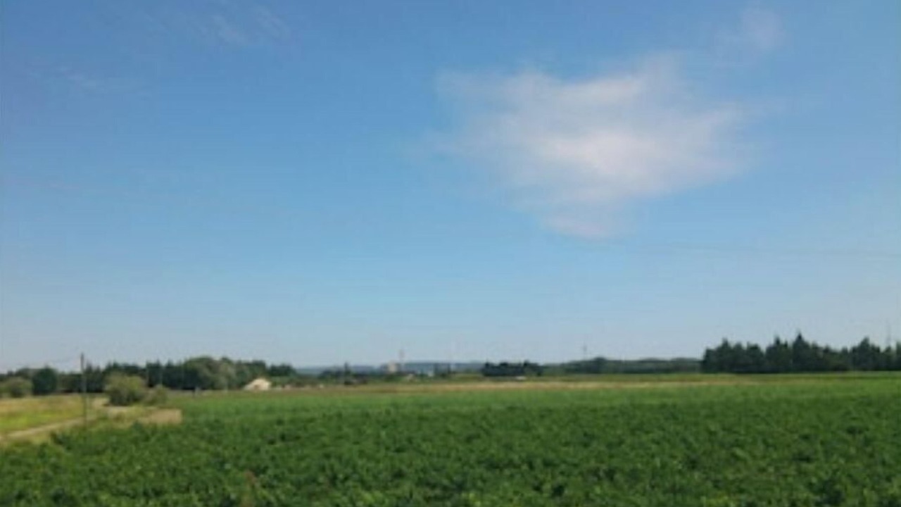 Photo of Others in Beaucaire