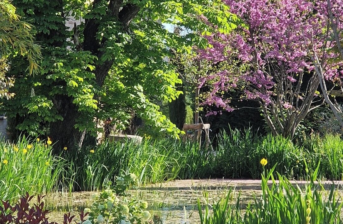 Photo of Outdoor in Valensole