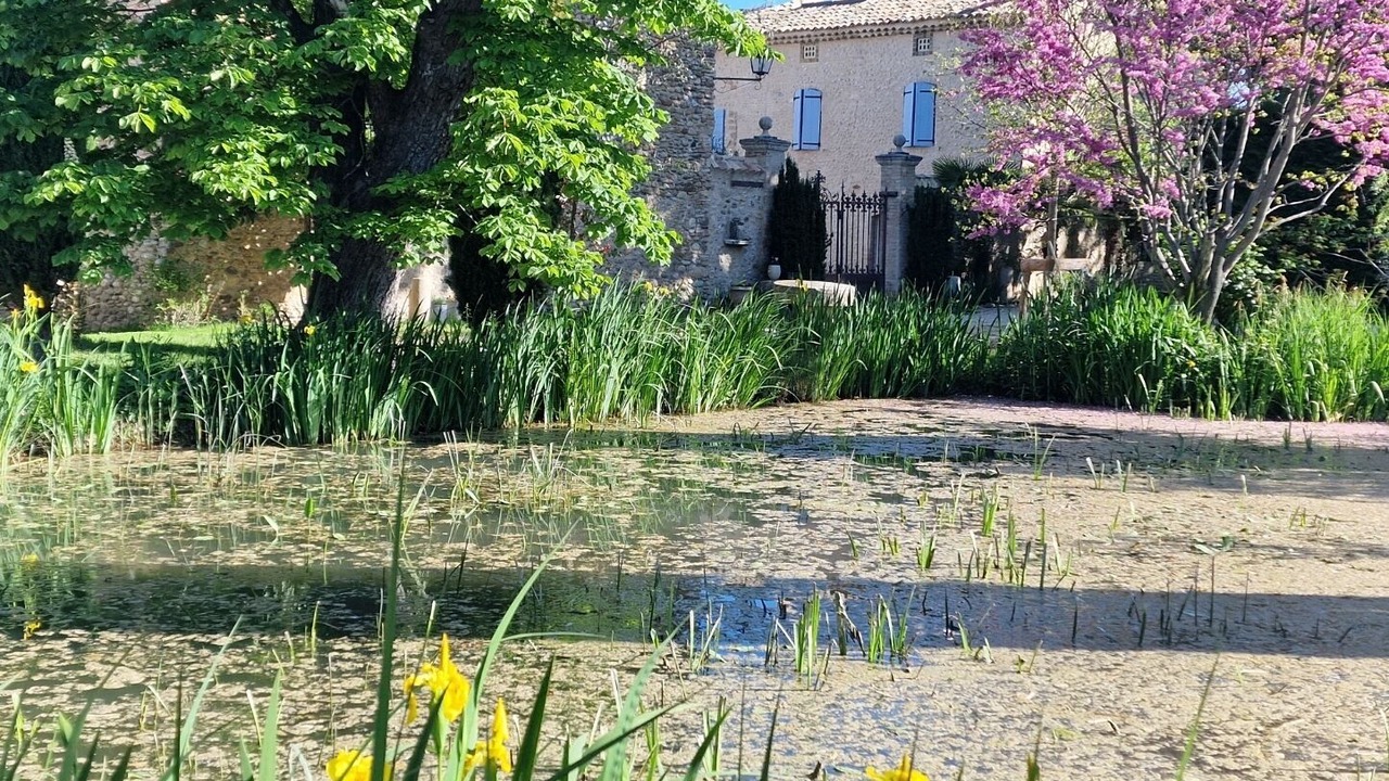 Photo of Outdoor in Valensole