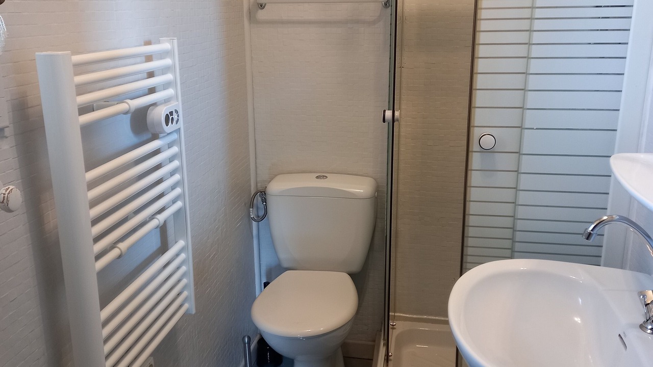 Photo of Bathroom in Venterol