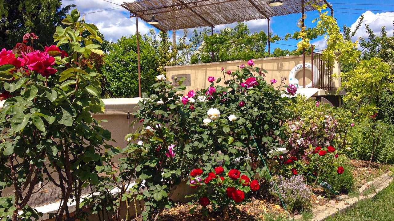 Photo of Outdoor in Gargas