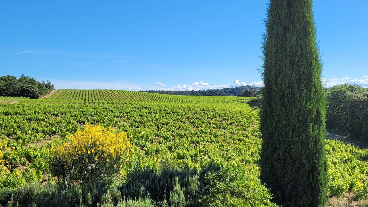 Photo of Outdoor in Mondragon
