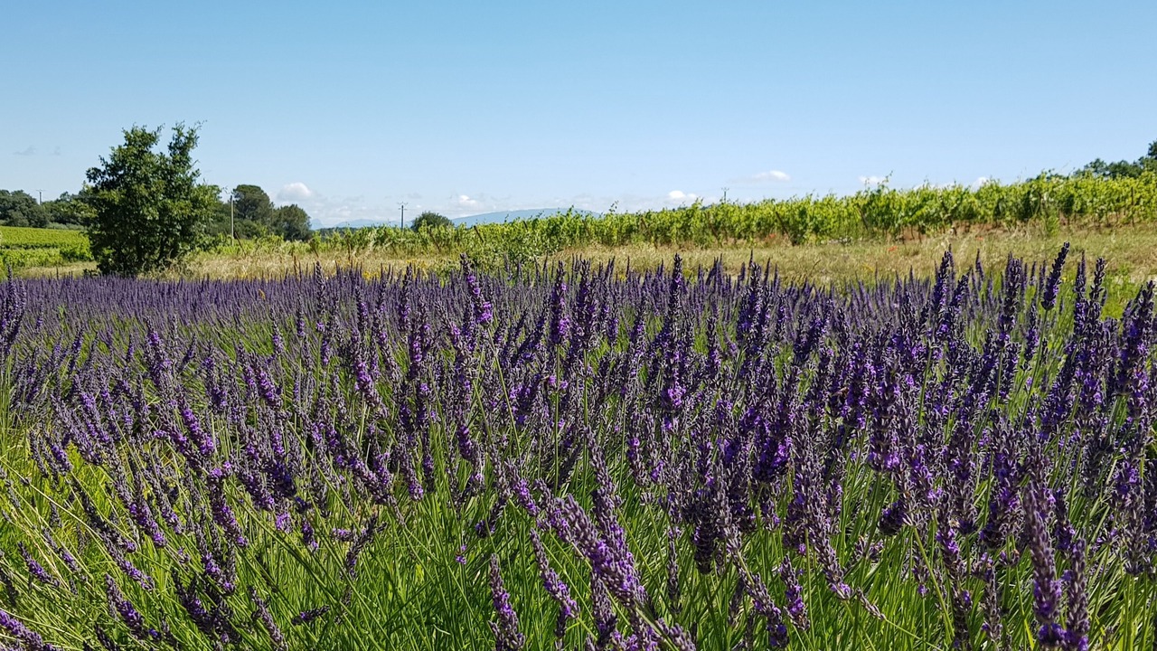 Photo of Outdoor in Mondragon