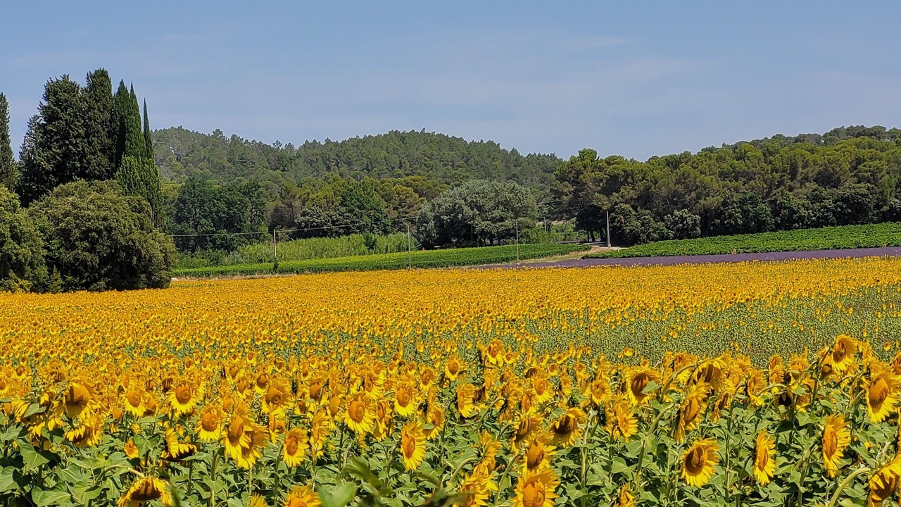 Photo of Outdoor in Mondragon
