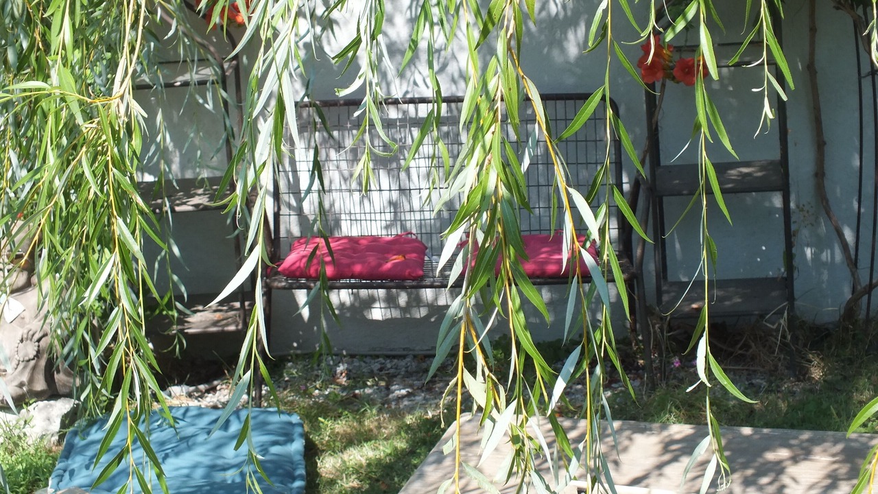 Photo of Outdoor in Morieres-les-Avignon