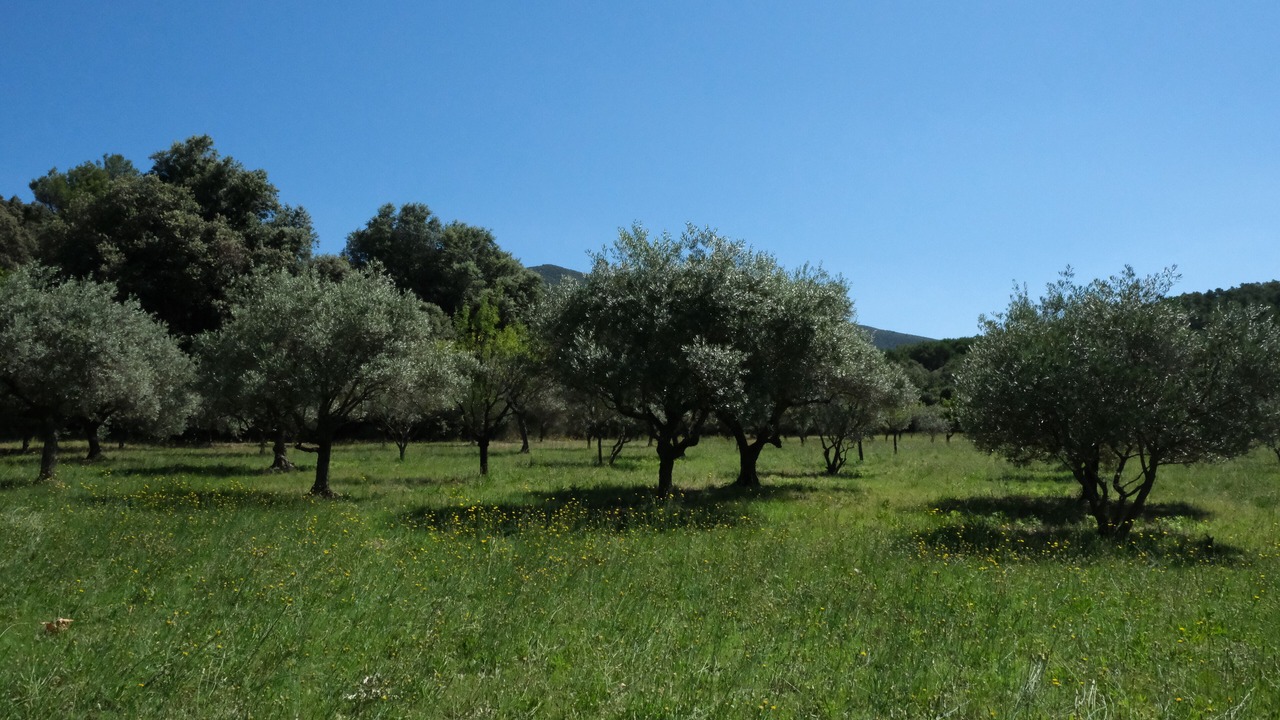 Photo of Others in Rustrel