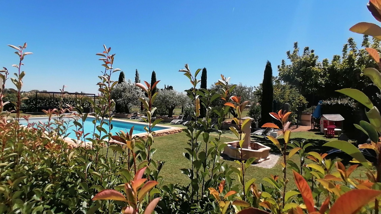 Photo of Outdoor in Piolenc