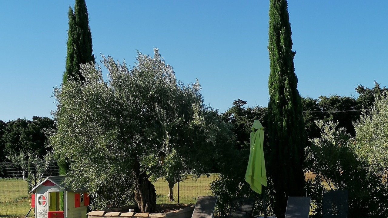 Photo of Outdoor in Piolenc