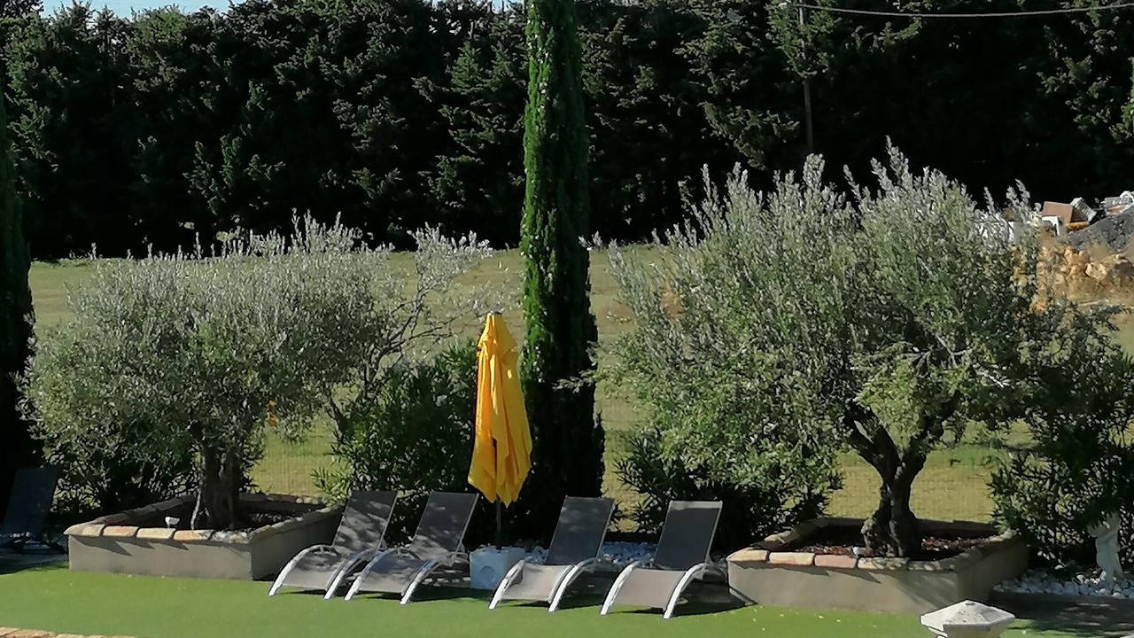 Photo of Outdoor in Piolenc