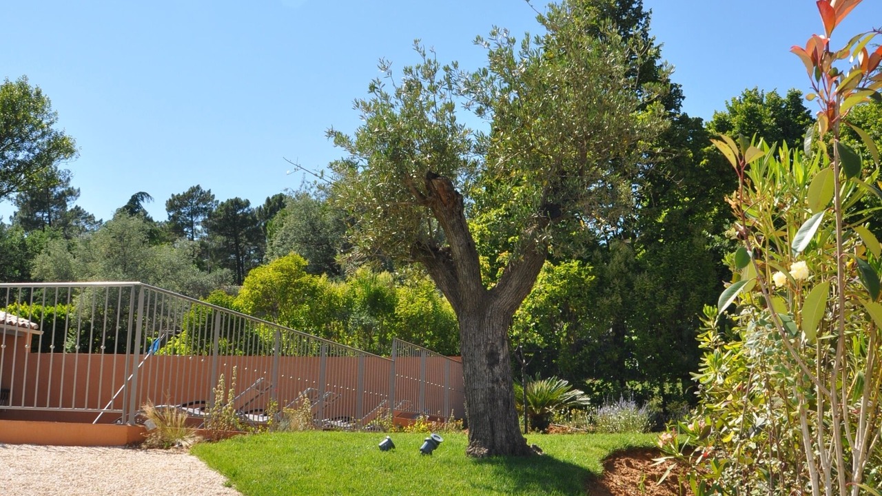 Photo of Outdoor in Roussillon