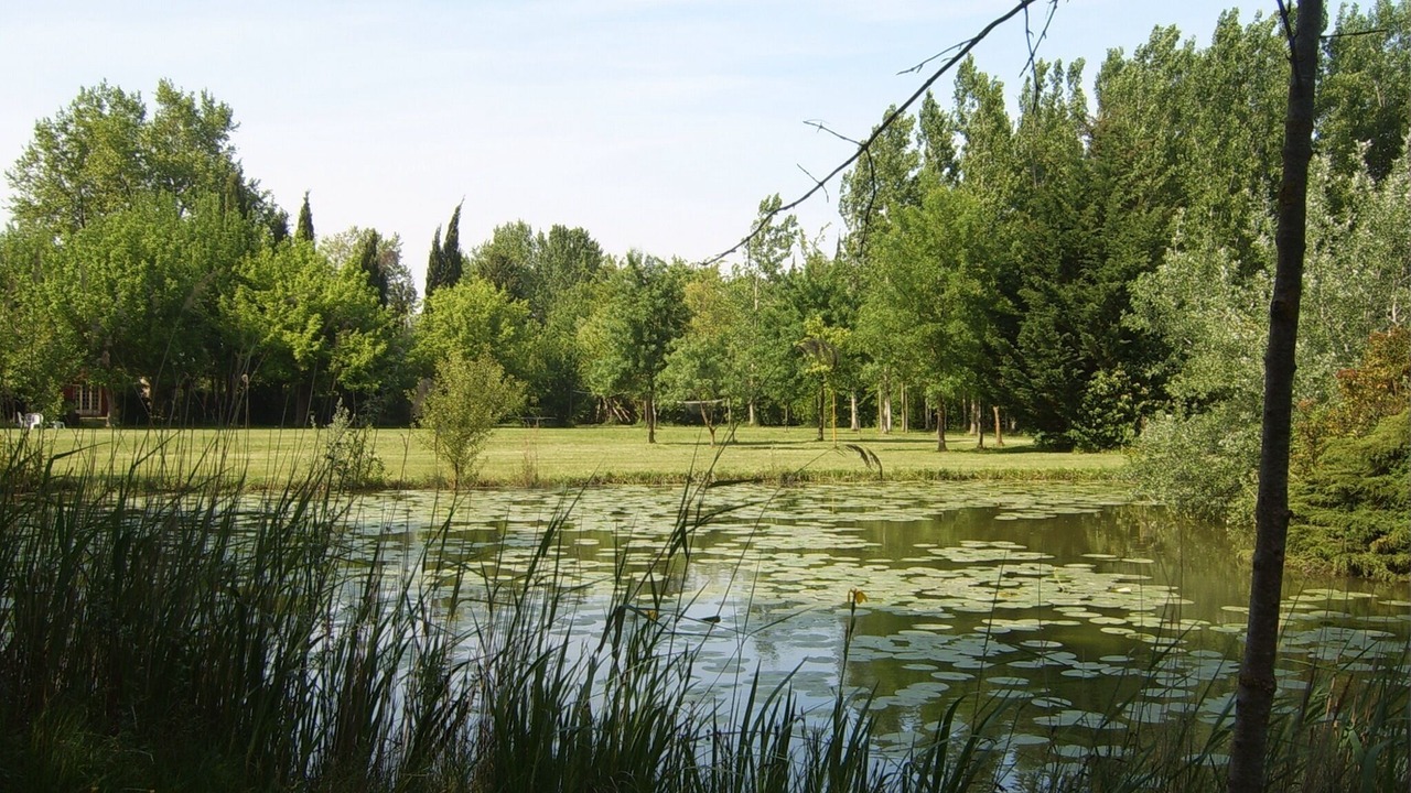 Photo of Outdoor in Monteux