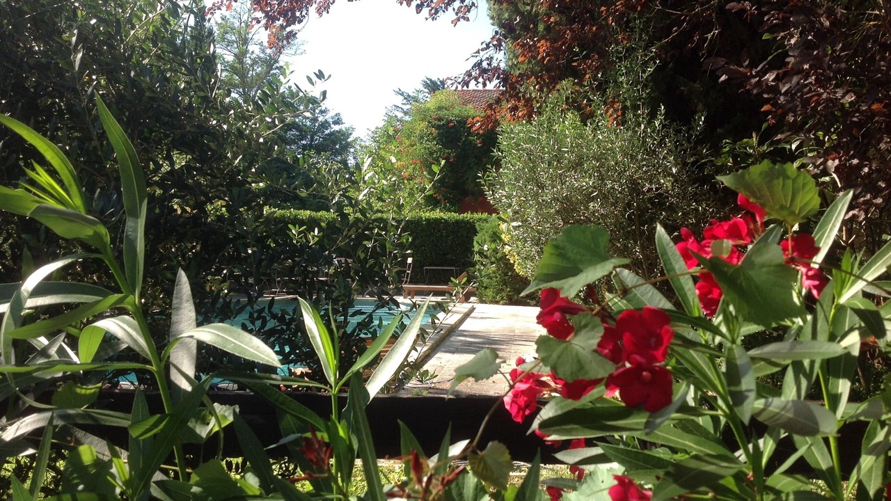 Photo of Outdoor in Monteux