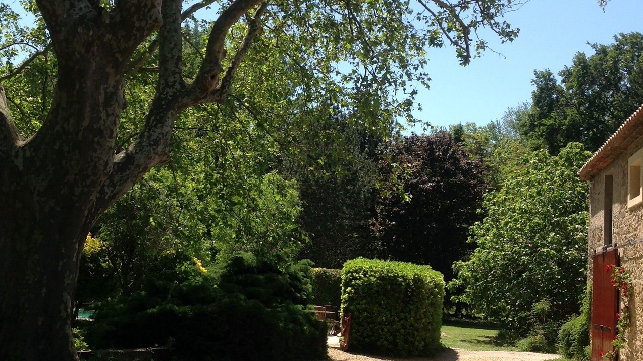 Photo of Outdoor in Monteux