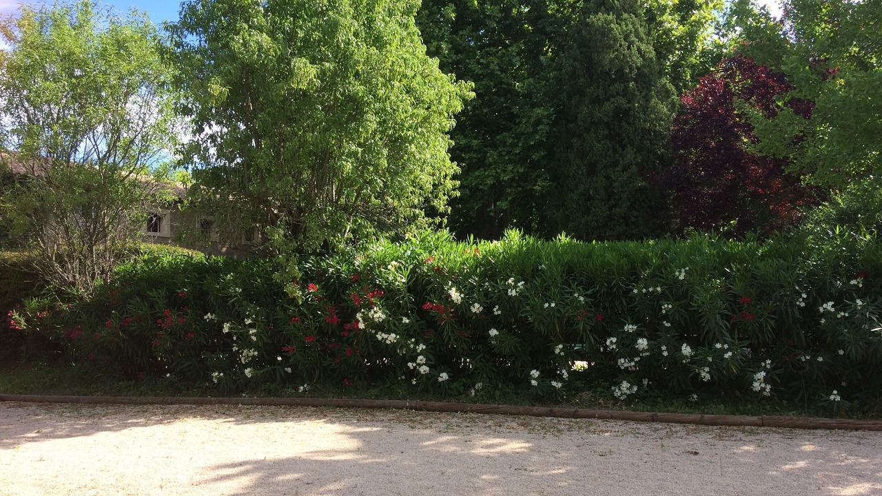 Photo of Outdoor in Monteux