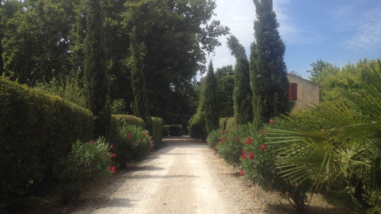 Photo of Outdoor in Monteux