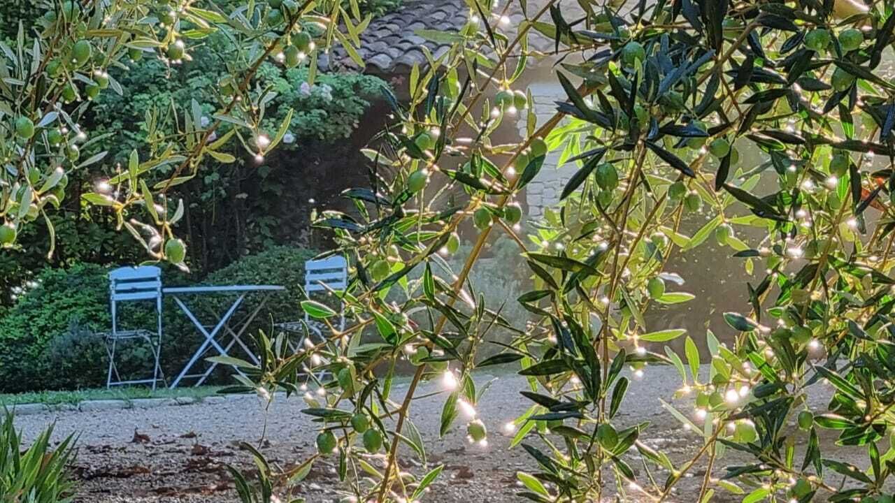 Photo of Outdoor in St.-Remy-de-Provence