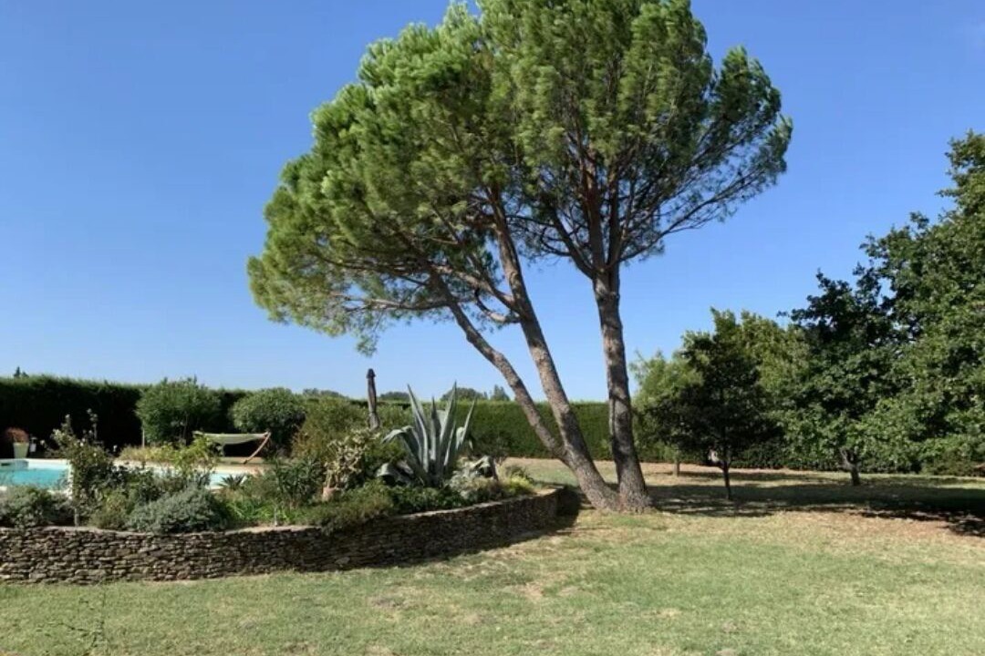 Photo of Outdoor in Orange