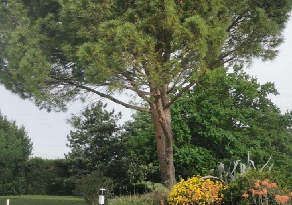 Photo of Outdoor in Orange