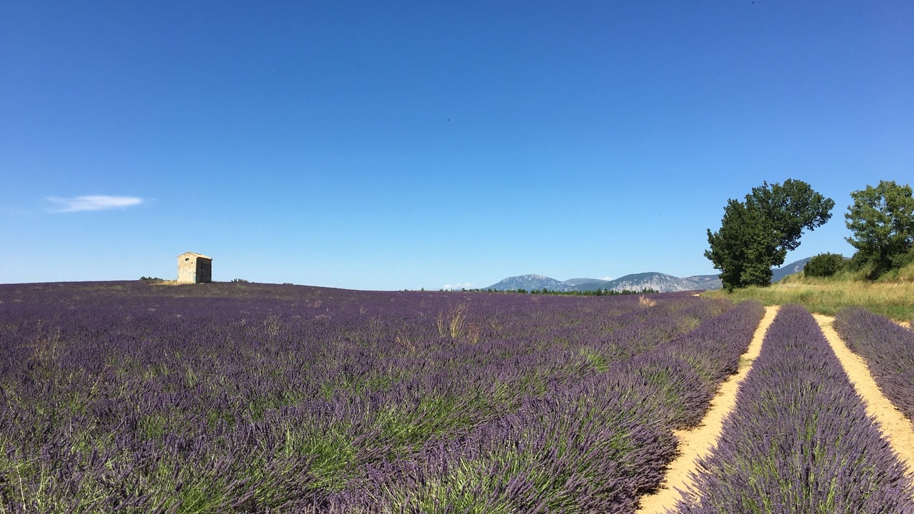 Photo of Outdoor in Comps-sur-Artuby
