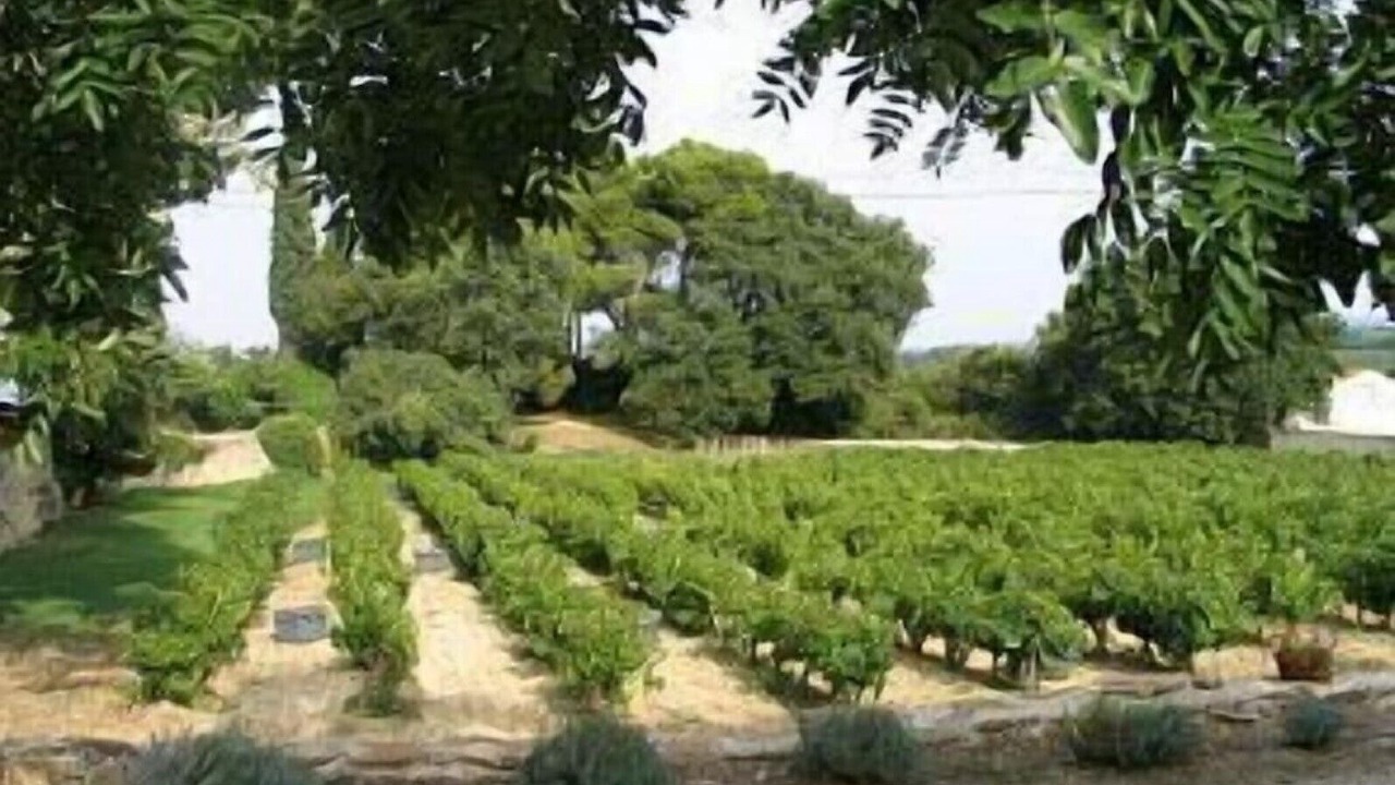 Photo of Outdoor in Laudun