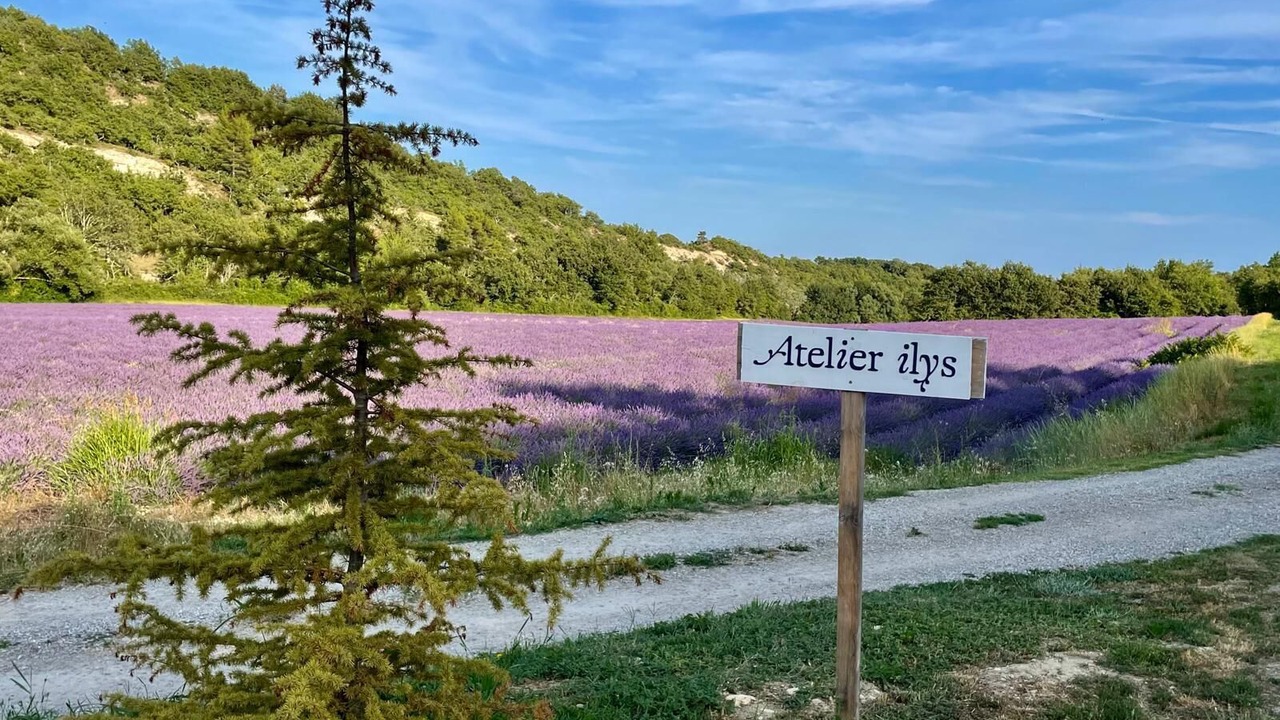 Photo of Others in Forcalquier