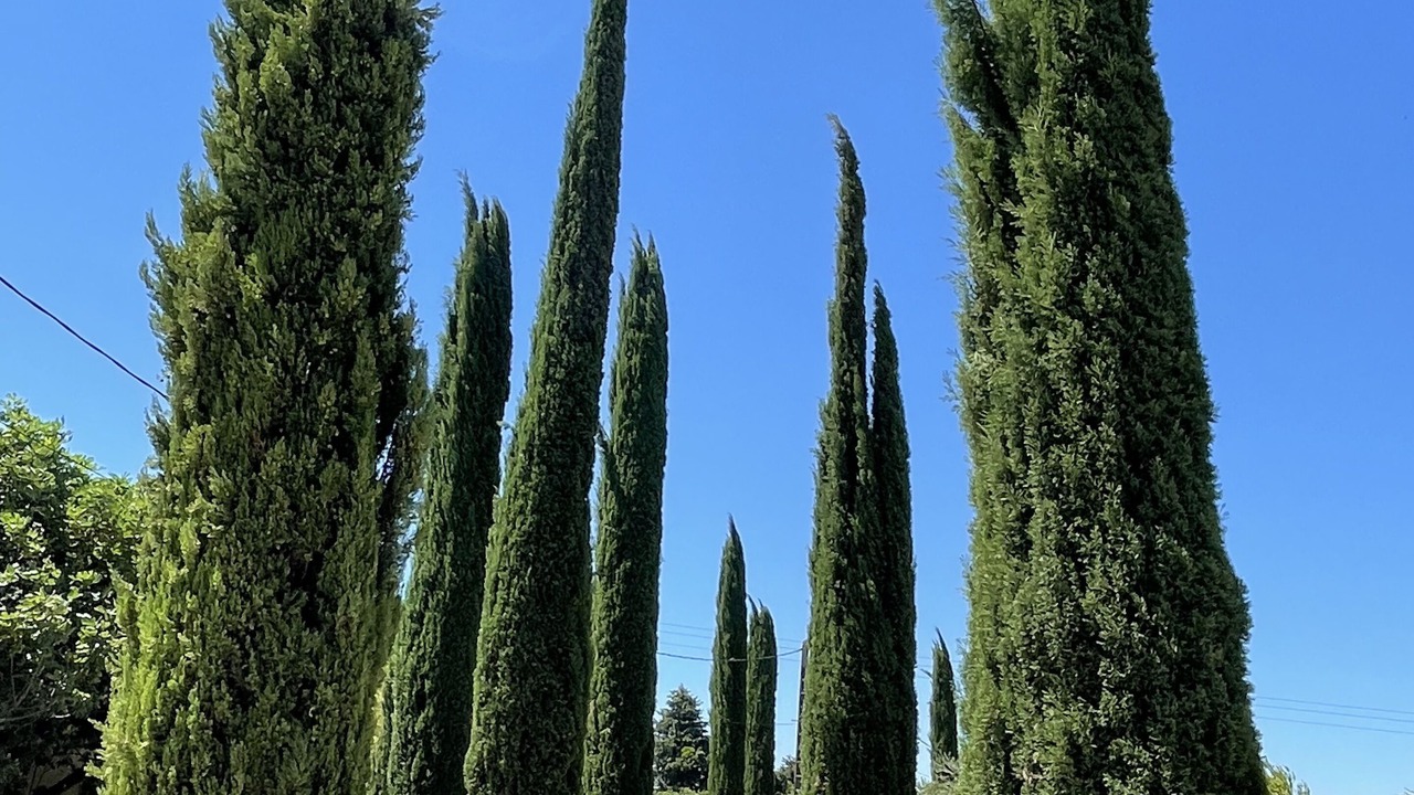 Photo of Outdoor in Pernes-les-Fontaines