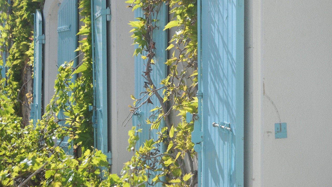 Photo of Outdoor in Pernes-les-Fontaines