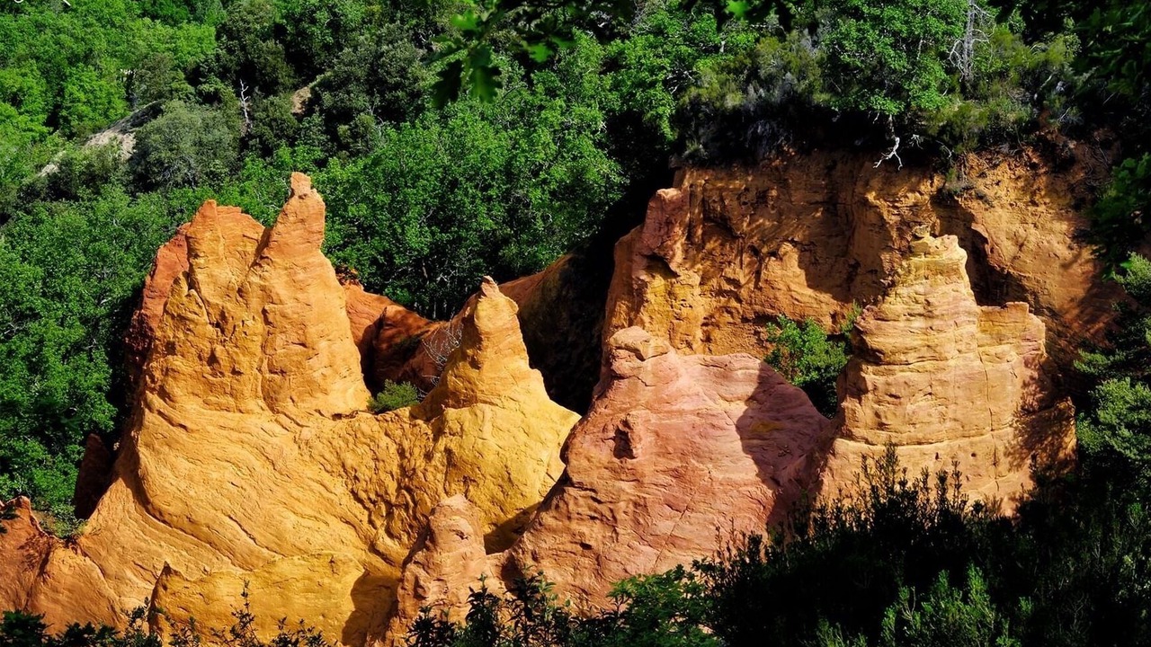 Photo of Outdoor in Saint-Martin-de-Castillon