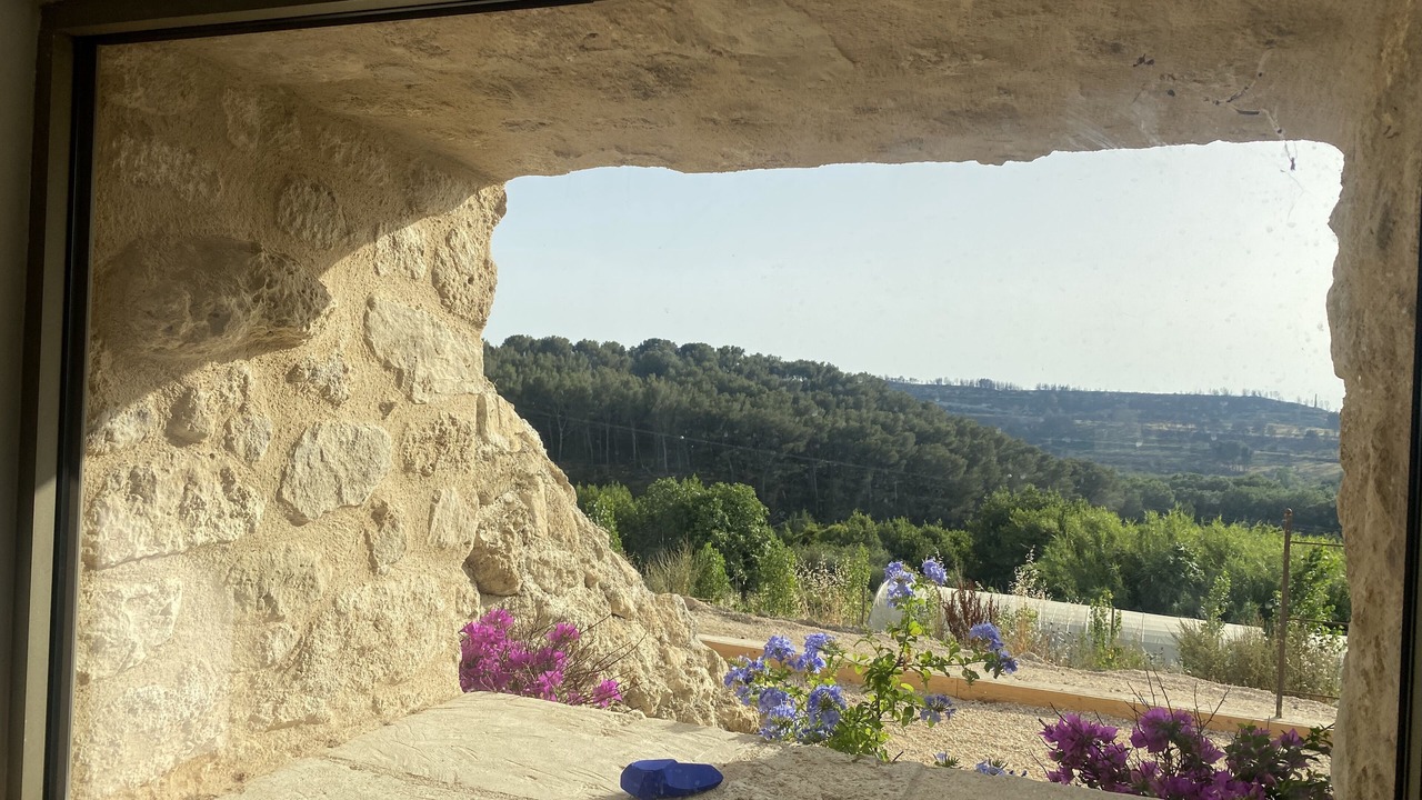 Photo of Others in Istres