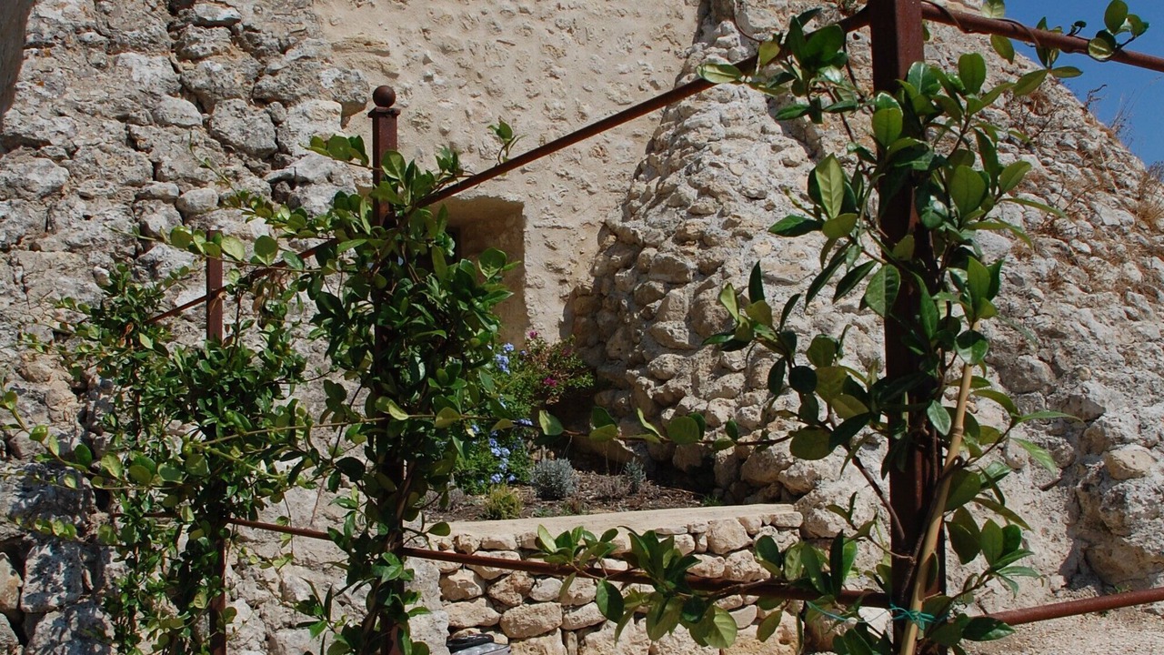 Photo of Outdoor in Istres