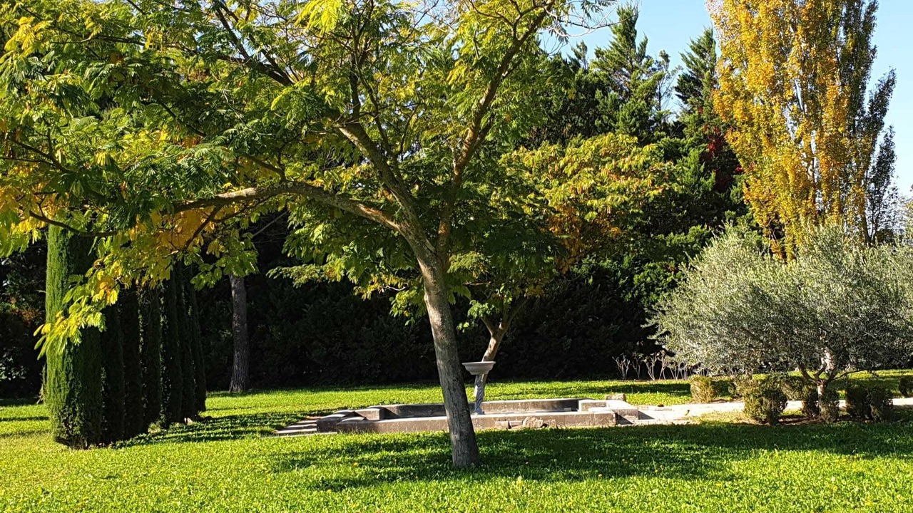 Photo of Outdoor in L'Isle-sur-la-Sorgue