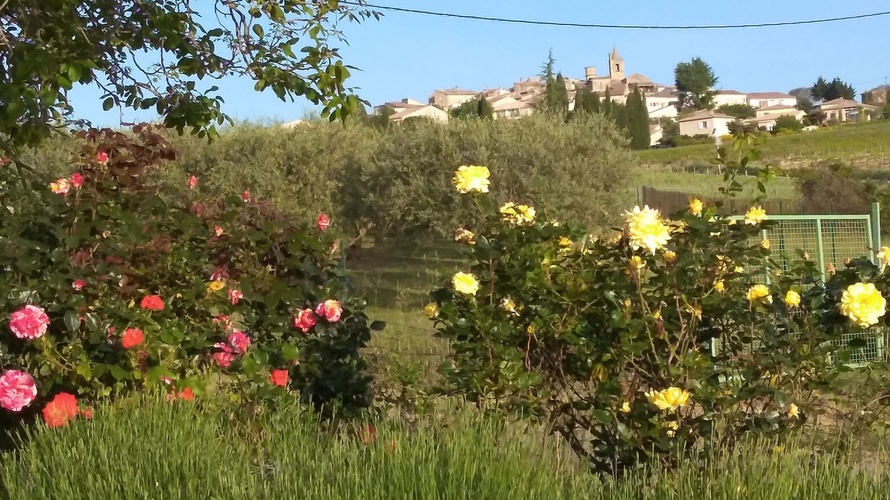 Photo of Outdoor in Pierrevert