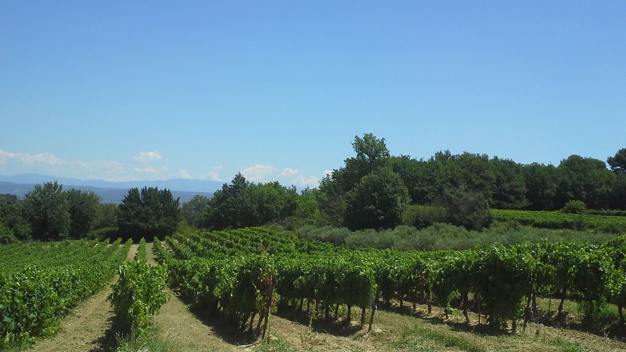 Photo of Outdoor in Pierrevert