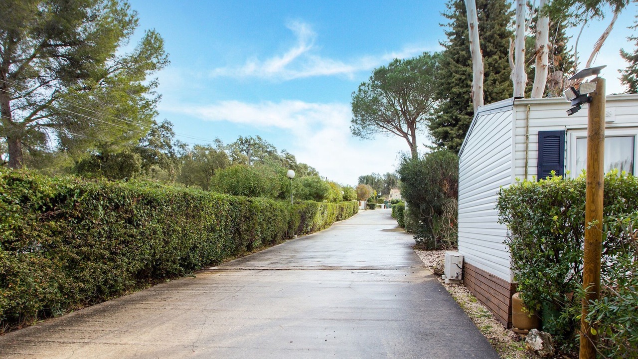 Photo of Others in La Londe-les-Maures