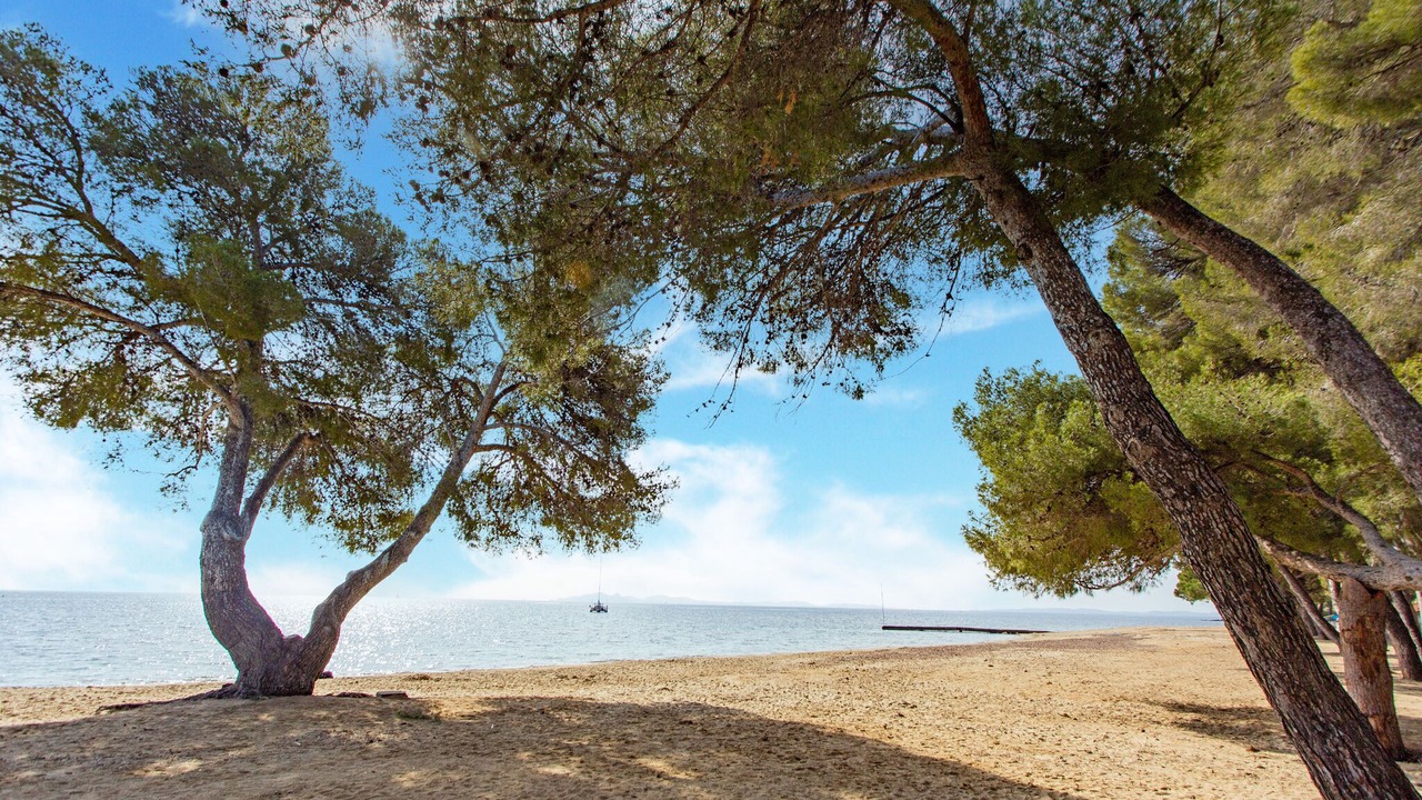 Photo of Others in La Londe-les-Maures