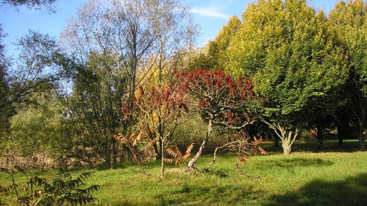 Photo of Others in Gargas