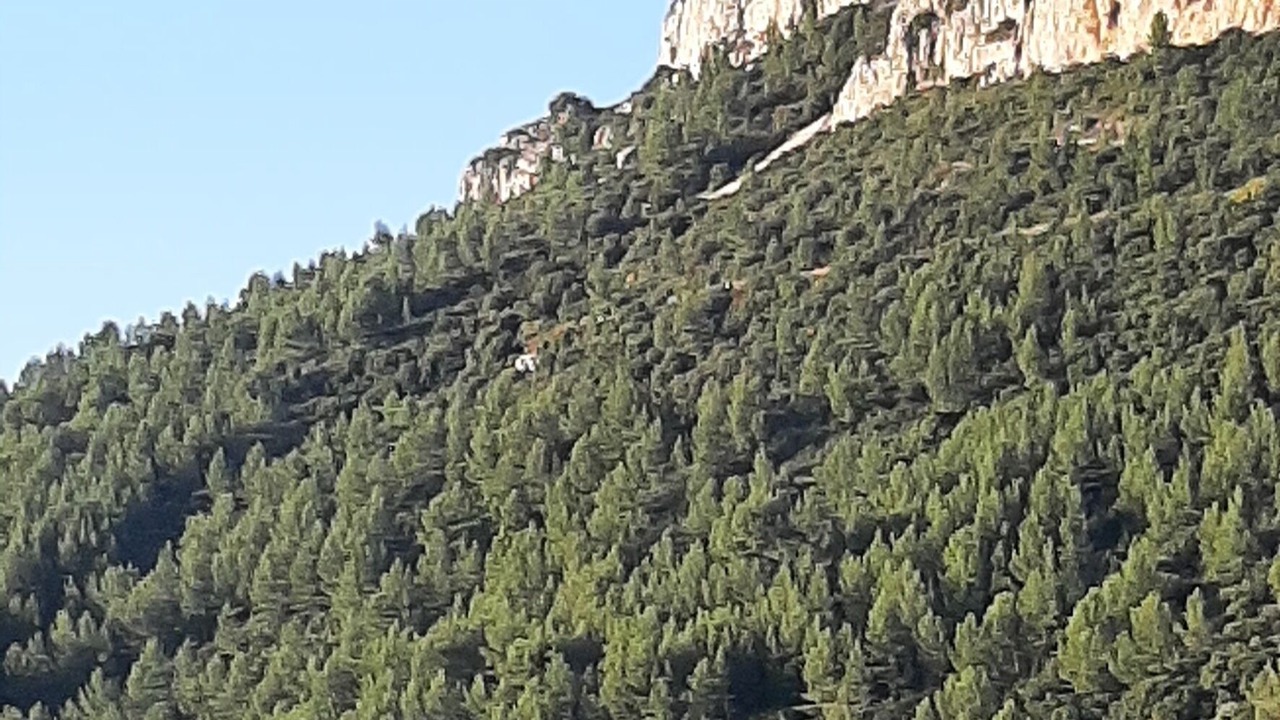 Photo of Outdoor in Toulon