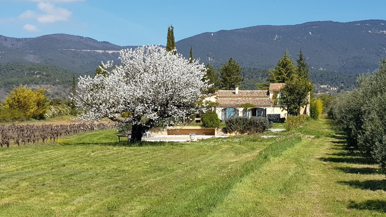 Photo of Outdoor in Cucuron