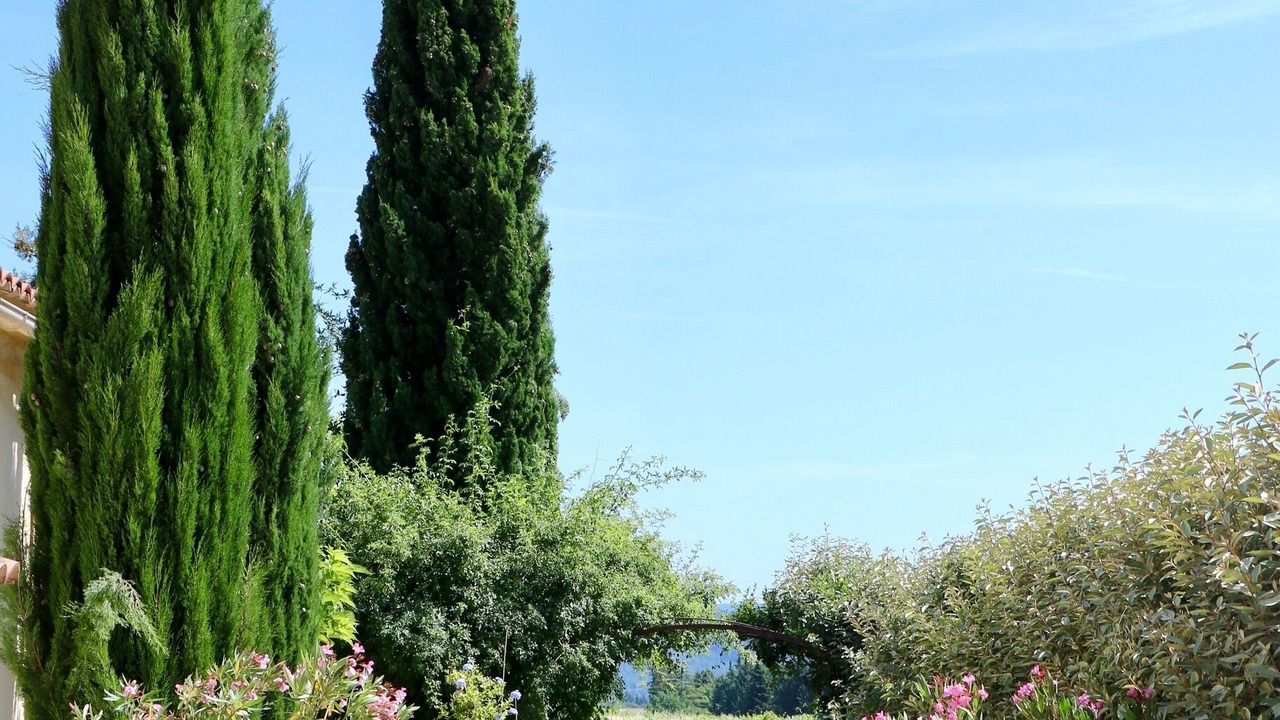 Photo of Outdoor in Cucuron